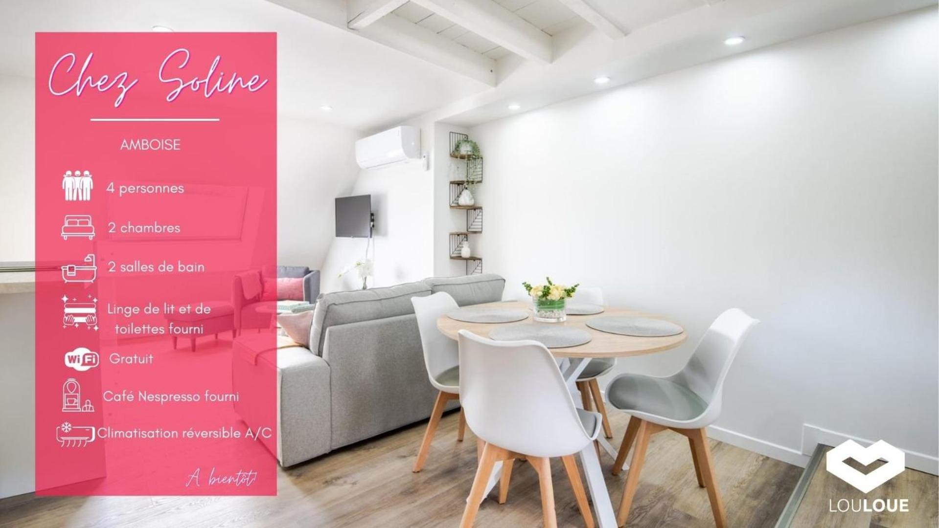 Chez Soline - Le Duplex Climatise Amboise Zewnętrze zdjęcie