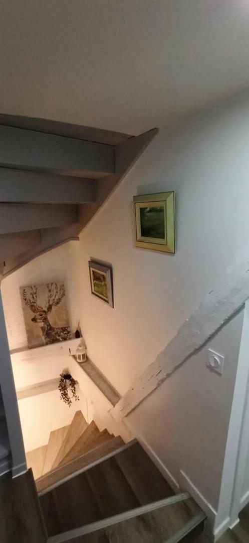 Chez Soline - Le Duplex Climatise Amboise Zewnętrze zdjęcie