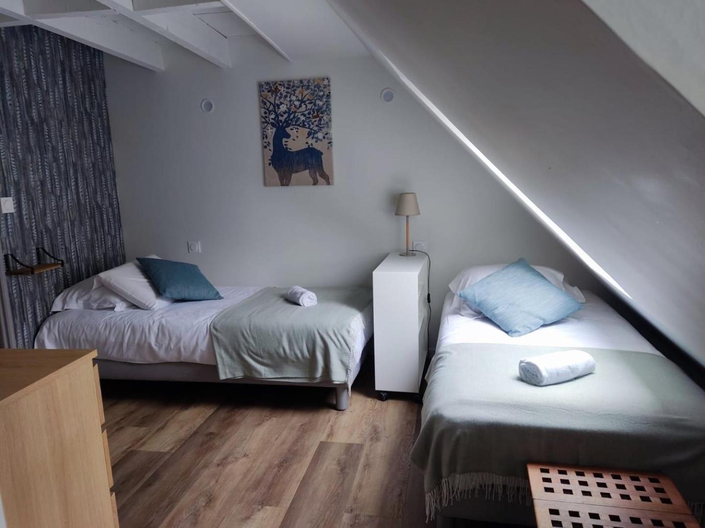 Chez Soline - Le Duplex Climatise Amboise Zewnętrze zdjęcie
